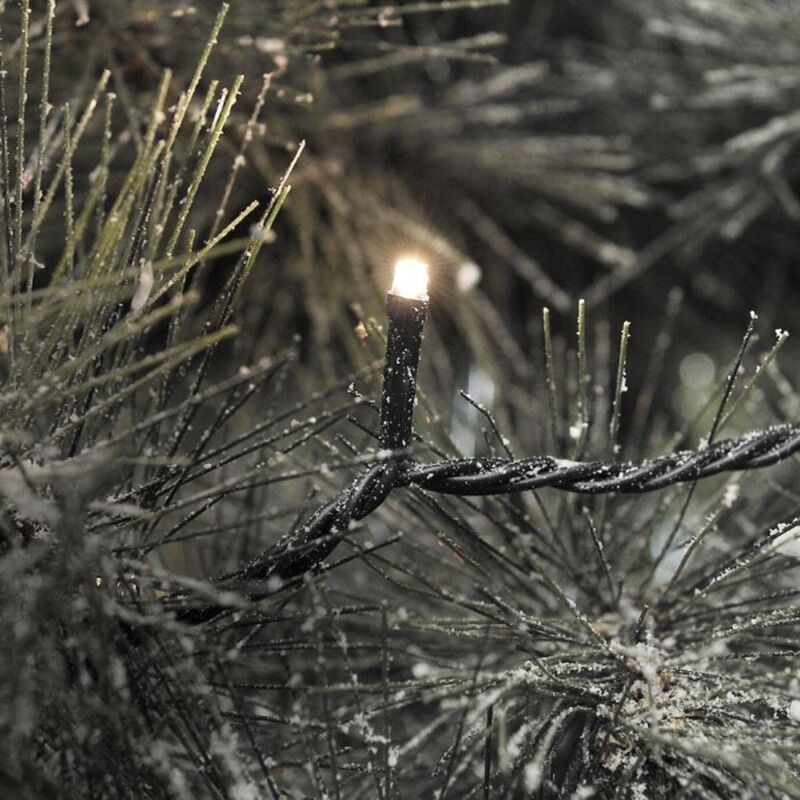 immagine 0 del prodotto 3610 110 catena di luci micro led 40 diodi bianco caldi 24v trasformatore da esterno cavo nero konstsmide