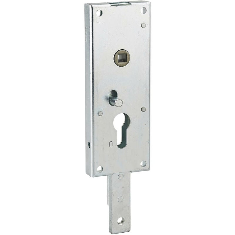 foto del prodotto thirard serratura per porta basculante 1 punto in basso, a cilindro europeo, per garage, 60x160mm, quadro 7mm, zincato