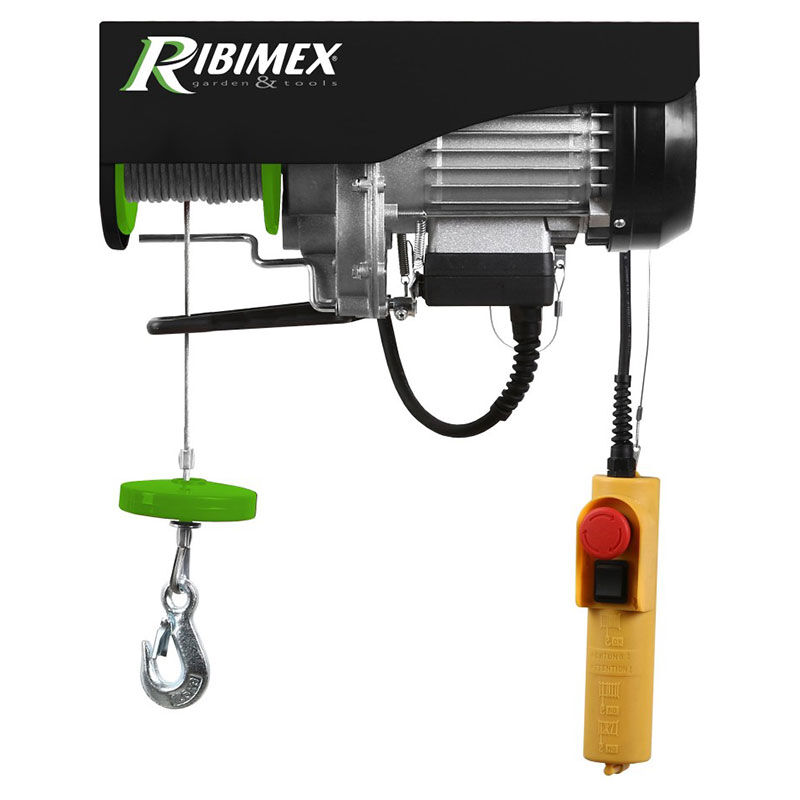 foto del prodotto paranco elettrico 250 500 kg ribimex