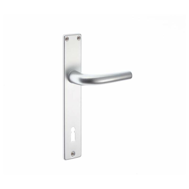 immagine 0 del prodotto sacar due maniglia con placca in alluminio finitura argento 70 mm