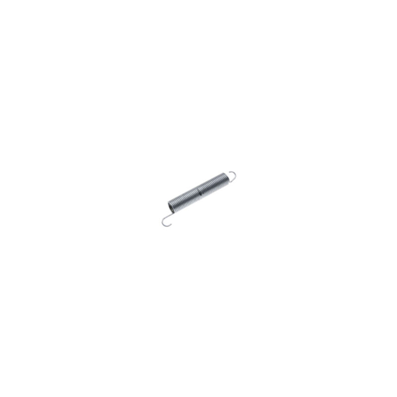 foto del prodotto molla per sportello lavastoviglie beko 331249
