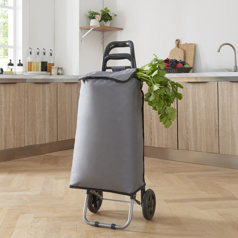 foto del prodotto  en.casa trolley per la spesa carrello portaspesa portapacchi a 2 ruote telaio pieghevole borsa impermeabile rimovibile 36 l 30 kg grigio