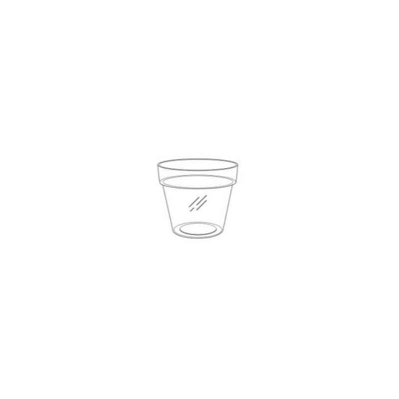 immagine 0 del prodotto vaso horticole 15 trasparente telcom