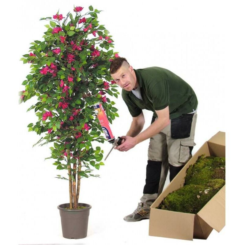 foto del prodotto bougainvillea semi naturale fiori rossi tronco mansanisi 100