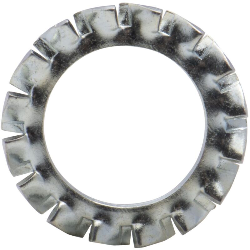 foto del prodotto rondella ventaglio tipo az zincata viswood 8mm confezione da 24 rondelle 