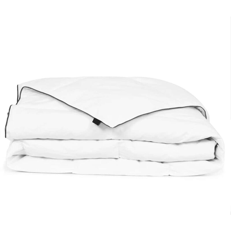 foto del prodotto prolenta premium furniture limited piumone invernale piuma anatra 150x200 cm