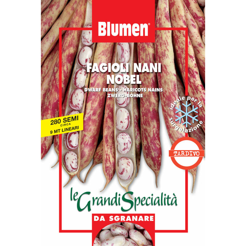 foto del prodotto semi fagioli nani nobel blumen