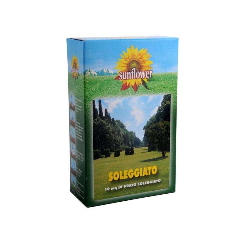 foto del prodotto sementi prato soleggiato kg 0,25 sunflower