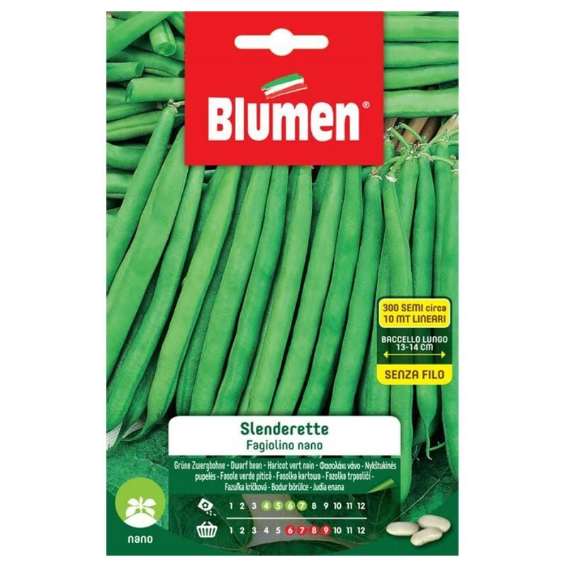 foto del prodotto semi fagiolini nani slenderette blumen