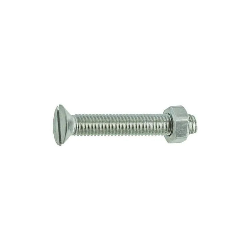 immagine 0 del prodotto bullone a testa svasata a4 in acciaio inox 4x20 mm, 21 pz.