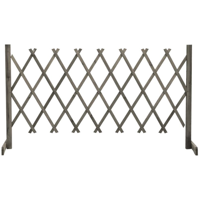 foto del prodotto furniture limited traliccio da giardino grigio 150x80 cm in