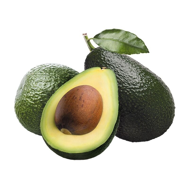 foto del prodotto pianta albero di avocado esotico frutti tropicali vaso20cm h110cm foto reale