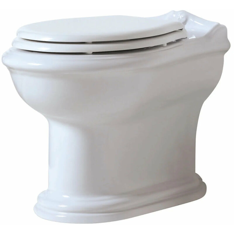foto del prodotto vaso scarico a terra porcellana bianco serie jubilaeum senza coprivaso azzurra