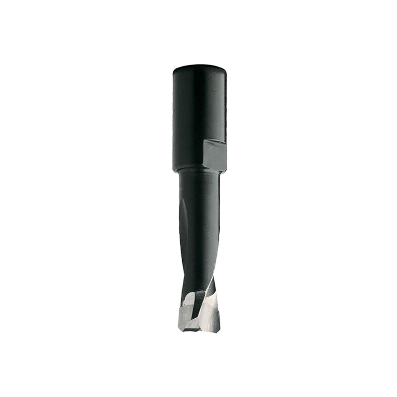 foto del prodotto 380.040.11 fresa per domino df500 festool hwm z2 s m6x0.75 d 4x11x38 dx