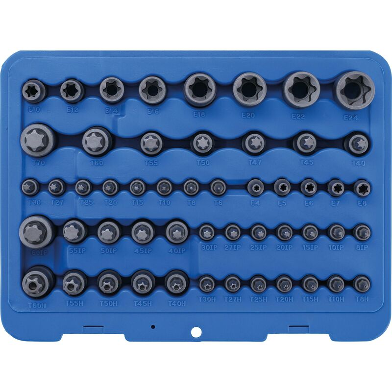 immagine 0 del prodotto serie di inserti e bussole profilo a e profilo a t per torx profilo a t per torx con alesatura profilo a tp per torx plus 52 pz.