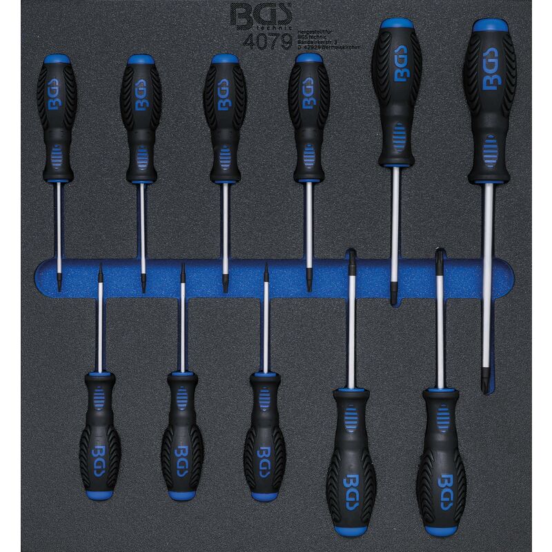 immagine 0 del prodotto bgs technic modulo per carrelli portautensili 2 3 cacciavite profilo a t per torx t6 t40 11 pz.