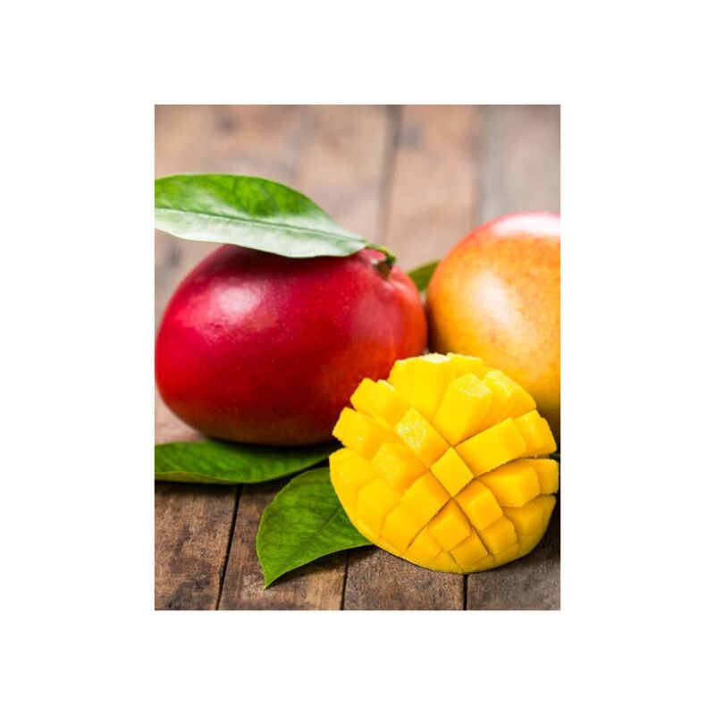 foto del prodotto pianta di mangifera indica mango irwin h 140cm, foto reali