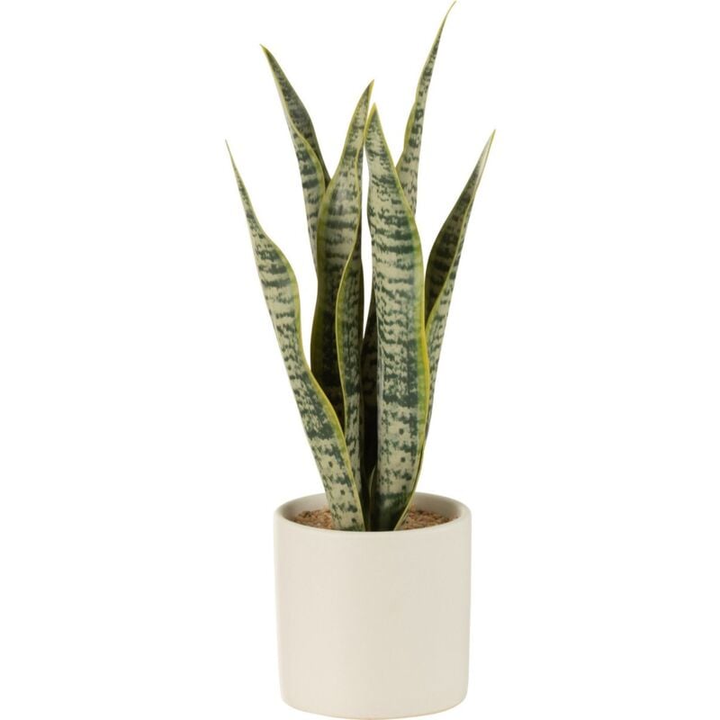 foto del prodotto j line pianta sansevieria vaso, verde, grande, casa, decorazioni casa