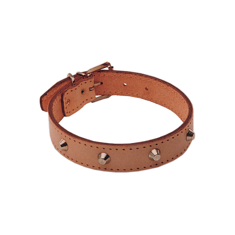 foto del prodotto collare eurocuoio borchiato mm.35x610