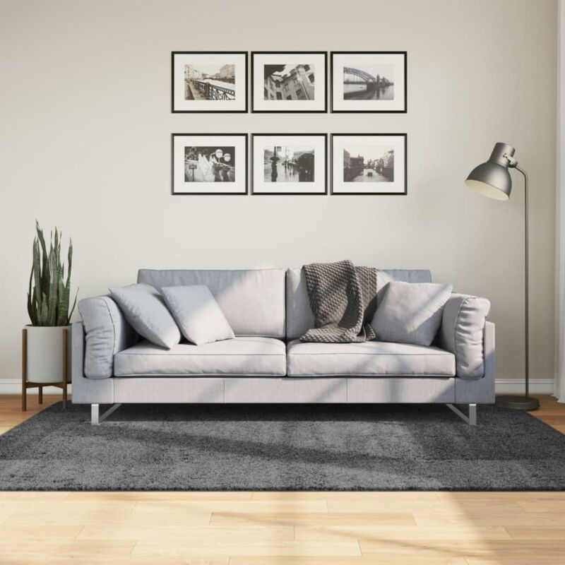 foto del prodotto vidaxl tappeto oviedo a pelo corto antracite 140x200 cm