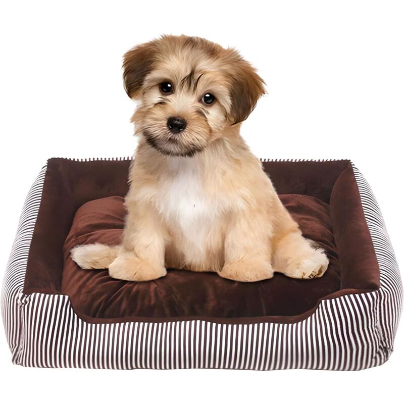 foto del prodotto fortuneville letto per cani medio, letto per cani ortopedico lavabile antiscivolo, letto per cani con bordo rialzato, divano ergonomico per cani,