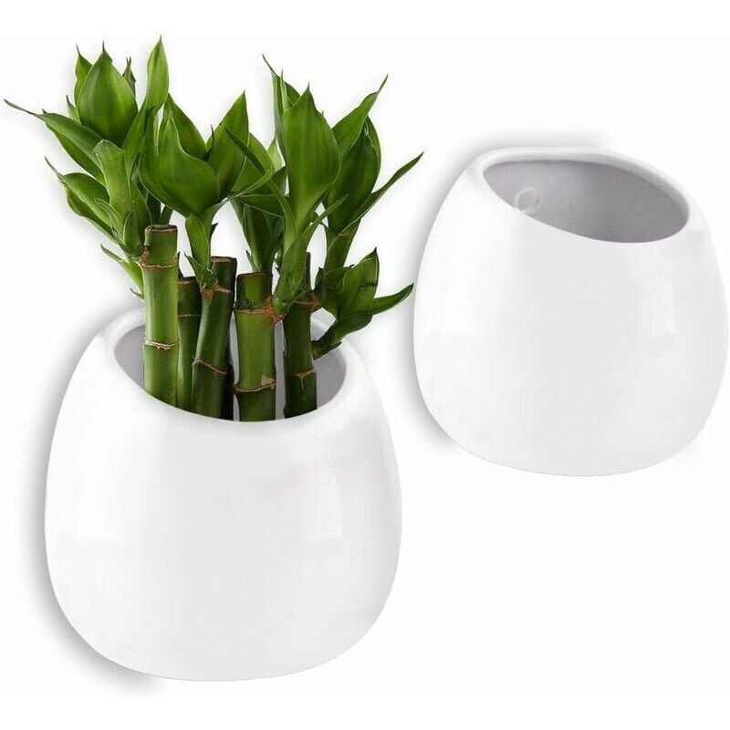 foto del prodotto vaso per piante da parete bianco 10 cm in ceramica set di 2, decorazione da parete decorazione per soggiorno casa giardino festa serale di natale e