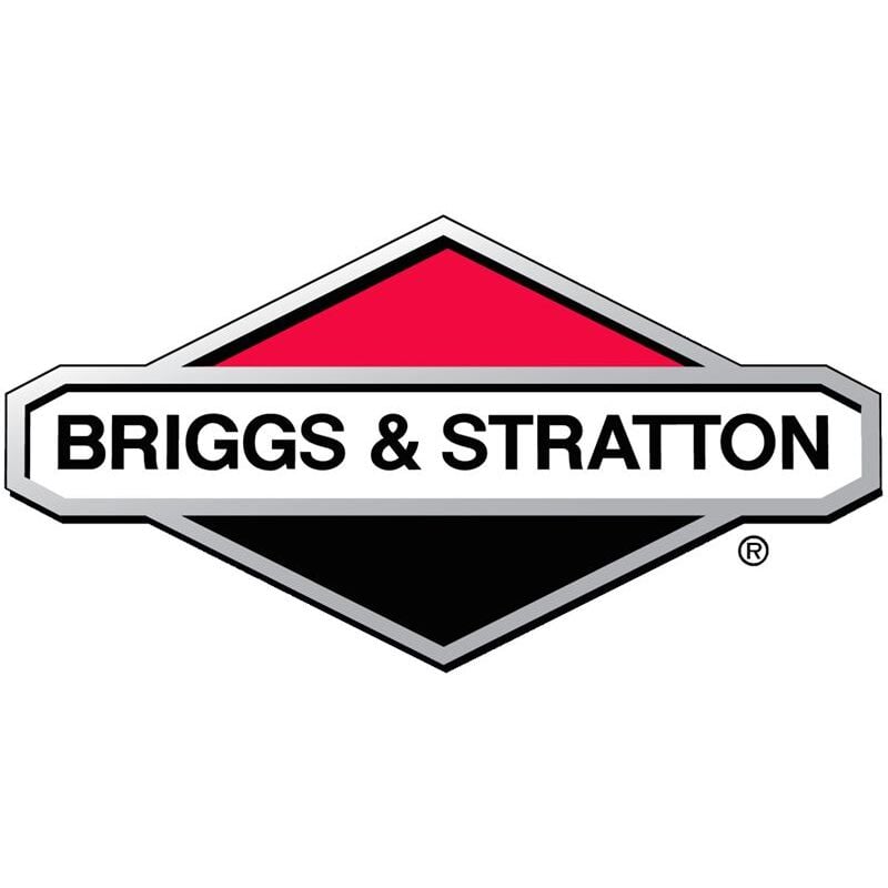 foto del prodotto ventola volano briggs and stratton 592050