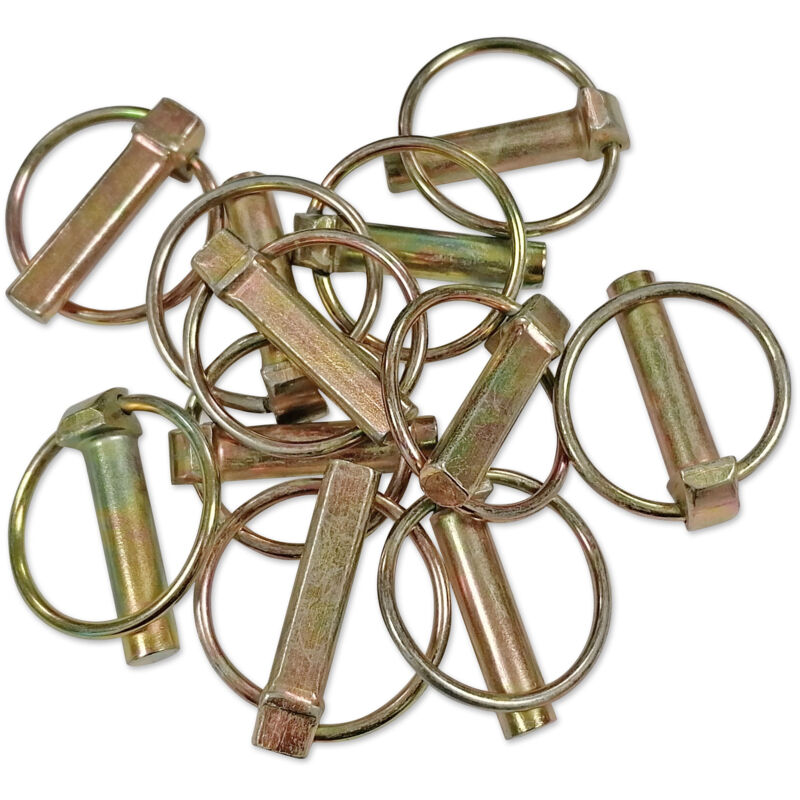 foto del prodotto 11 mm clip bolt sachet da 25