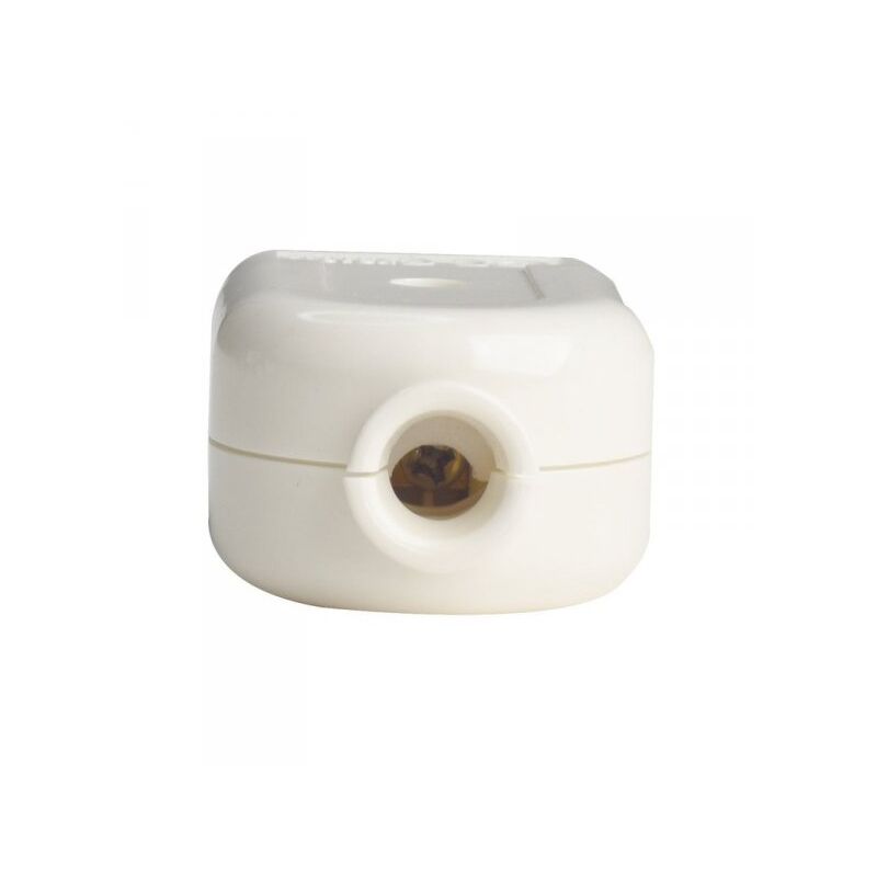 foto del prodotto presa elettrica 2p t 10a 250v max 1500w presa italiana bianco