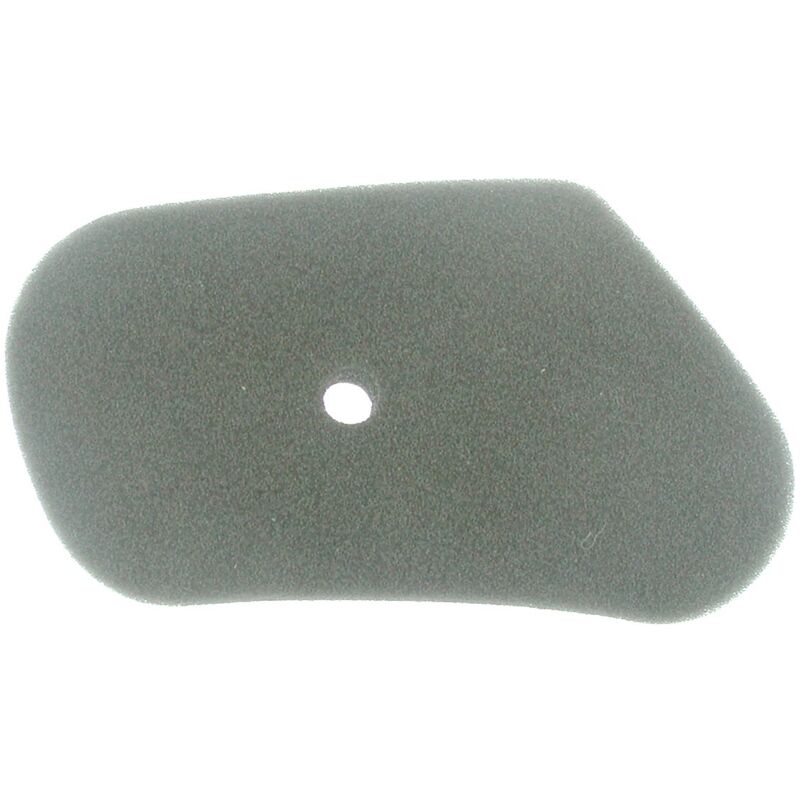 foto del prodotto greenstar, 5562, greenstar 5562 filtro