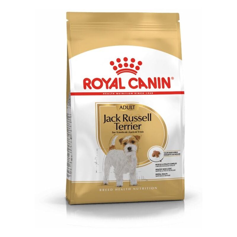 foto del prodotto cane jack russel adult 500gr royal canin