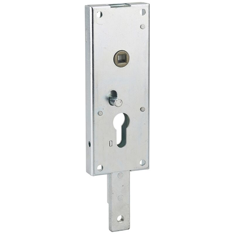 foto del prodotto thirard serratura per porta basculante 1 punto in basso, a cilindro europeo, per garage, 60x160mm, quadro 7mm, zincato