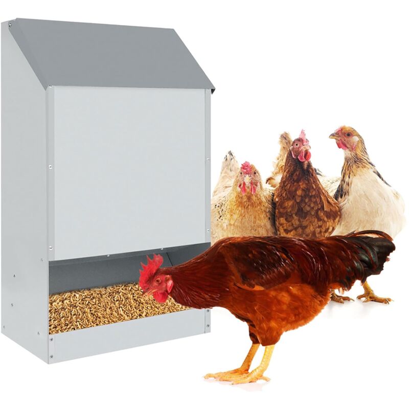 foto del prodotto mangiatoia per galline 35x20x63 cm capienza 23kg in acciaio zincato