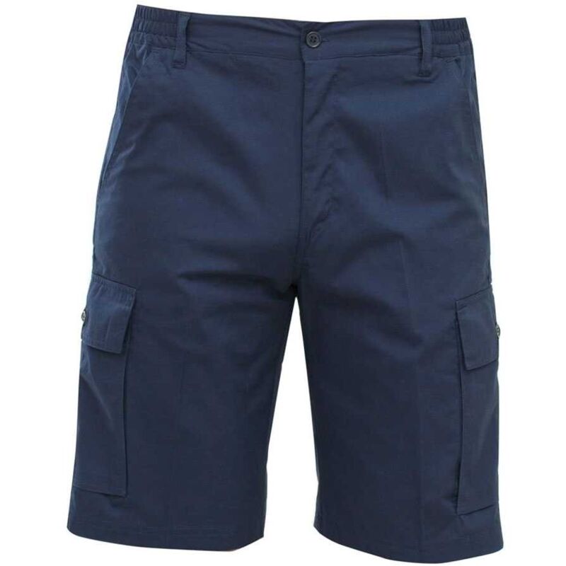 foto del prodotto bermuda da lavoro 100 cotone siggi derby blue blue xl
