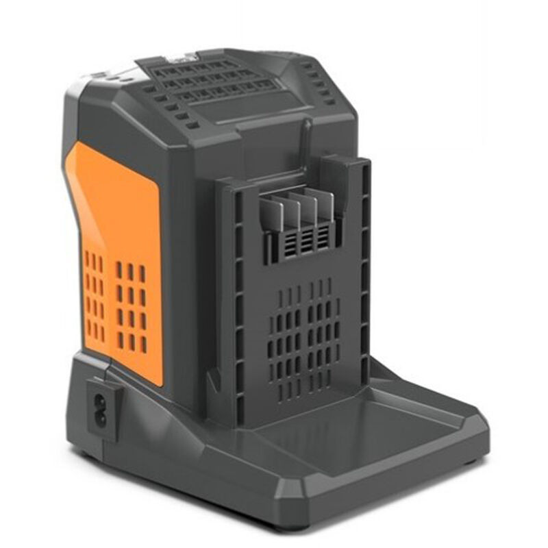 foto del prodotto caricabatteria caricatore rapido alimentatore batteria 5,5ah 60v valgarden