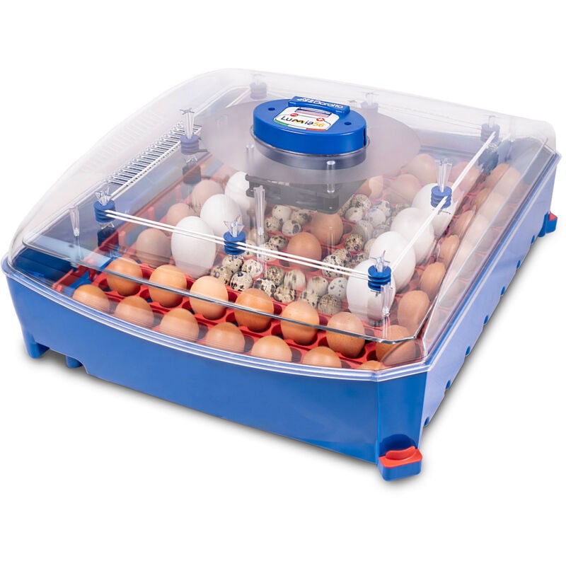 foto del prodotto borotto incubatrice per uova professionale con biomaster lumia 56