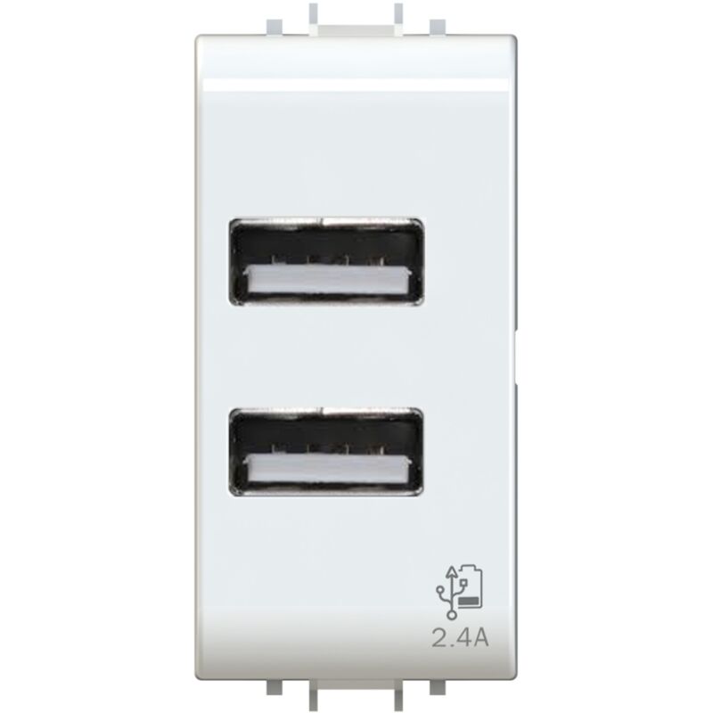 foto del prodotto 4 box modulo doppia presa usb 2.0 tipo a, 5vdc 2,4a, serie u, bianco, compatibile con serie gewiss chorus 4box usb 2.4 4b.g10.usb.24