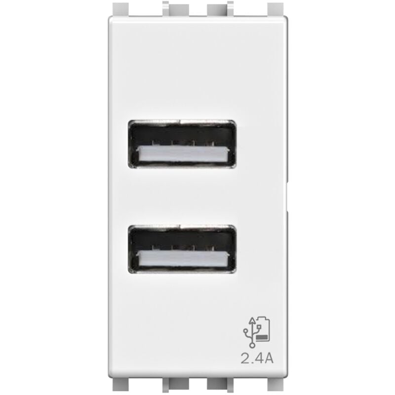 foto del prodotto 4 box modulo doppia presa usb 2.0 tipo a, 5vdc 2,4a, serie u, bianco, compatibile con serie vimar plana 4box usb 2.4 4b.v14.usb.24