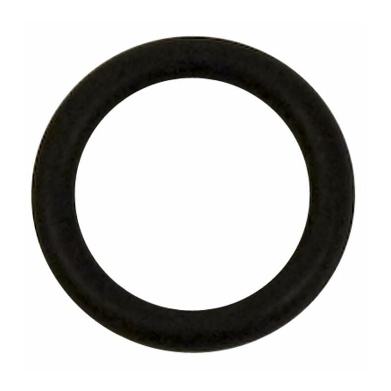 foto del prodotto guarnizione piana arag 20x30mm e sp. 2,5mm