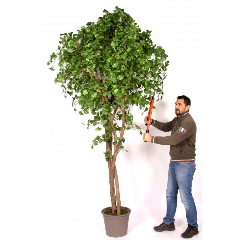 foto del prodotto verdevip ginkgo biloba seminaturale verde tronco naturale h cm 250 300 250