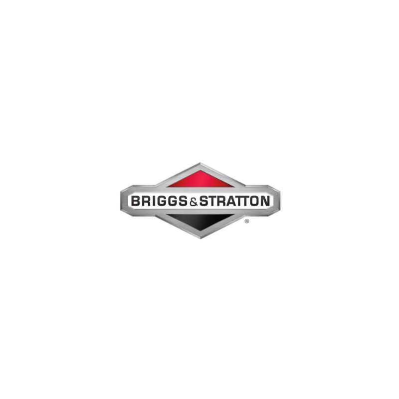foto del prodotto filtro benzina 185400 originale briggs stratton 710065