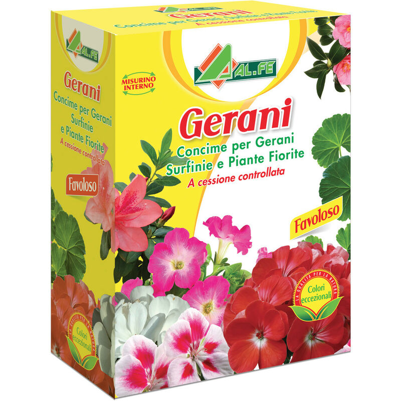 foto del prodotto gerani scatola kg 1x20pz