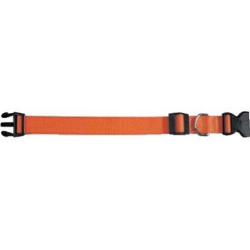 foto del prodotto collare per cane cani club arancione regolabile 36 56 cm nylon articoli animali