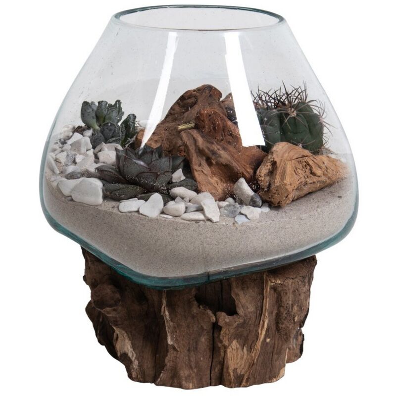 foto del prodotto epikasa terrario san, vetro, legno, metallo, marrone, 20x18x20 cm