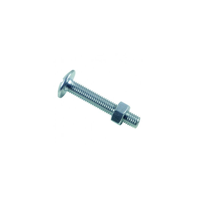 foto del prodotto no brand bullone per stufa lennie testa tonda grande 6x60 confezione da 100 brl0606002b