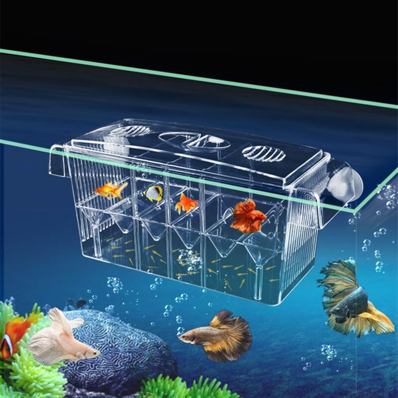 foto del prodotto scatola di allevamento per pesci d acquario ventose acriliche scatola di allevamento per acquario pesciolini incubatoio di gamberetti scatola di