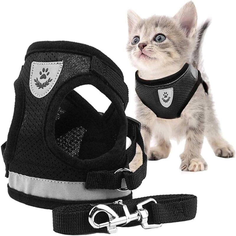 foto del prodotto rapanda pettorina per gatti pettorina per gatti, pettorina per gatti, guinzaglio per gatti, guinzaglio per gatti, pettorina per gatti con