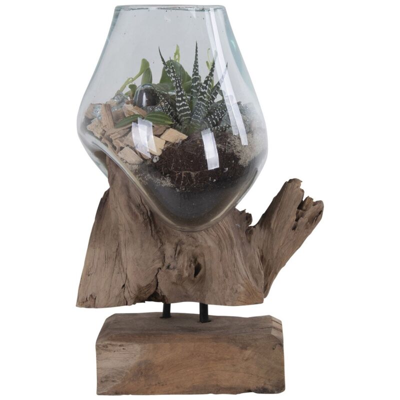 foto del prodotto epikasa terrario san, vetro, legno, metallo, marrone, 15x18x25 cm