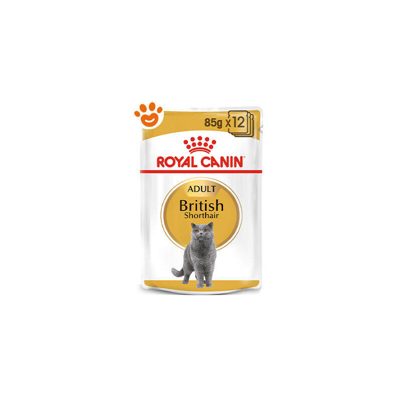 foto del prodotto royal canin cat adult british shorthair royal canin cat adult british shorthair bustina da 85 gr