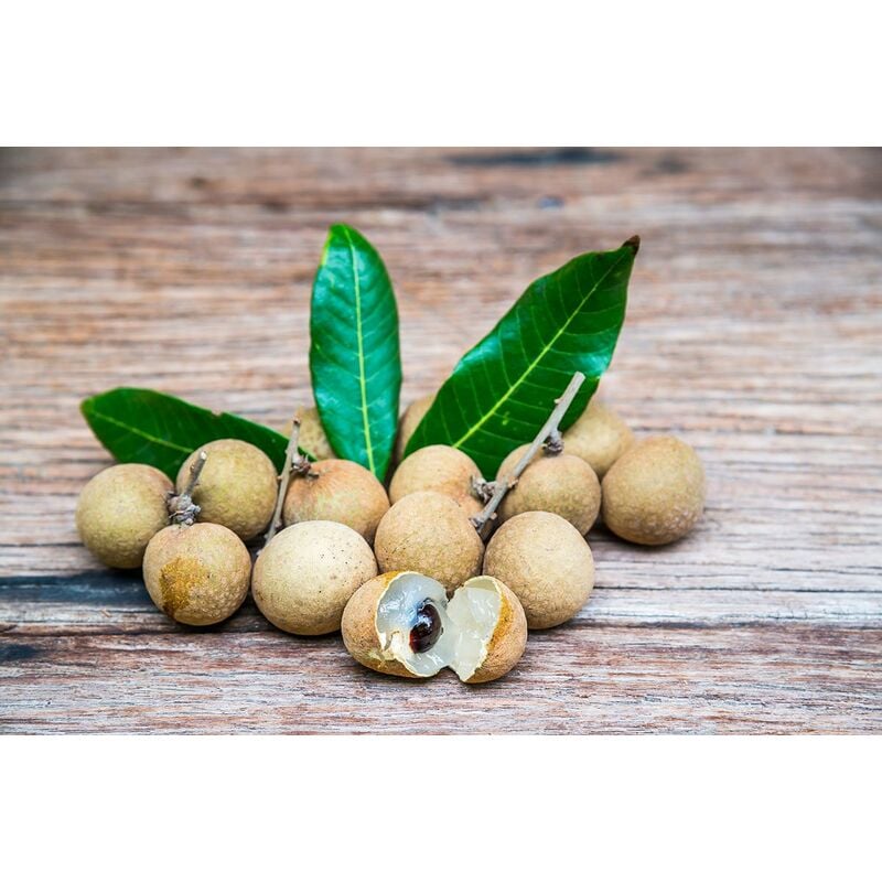 foto del prodotto dimocarpus longan, occhio di drago frutti tropicali foto reali